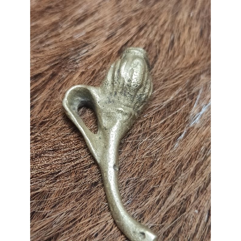 Kembang kantil temuan