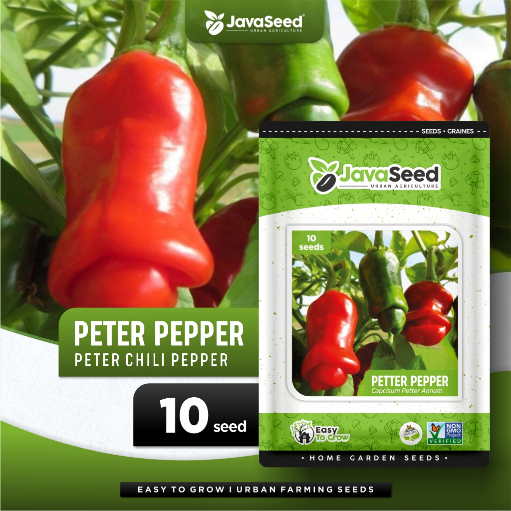 JAVASEED - Benih Cabai Hias Peter Pepper Cabe Hias Peter 5 Benih