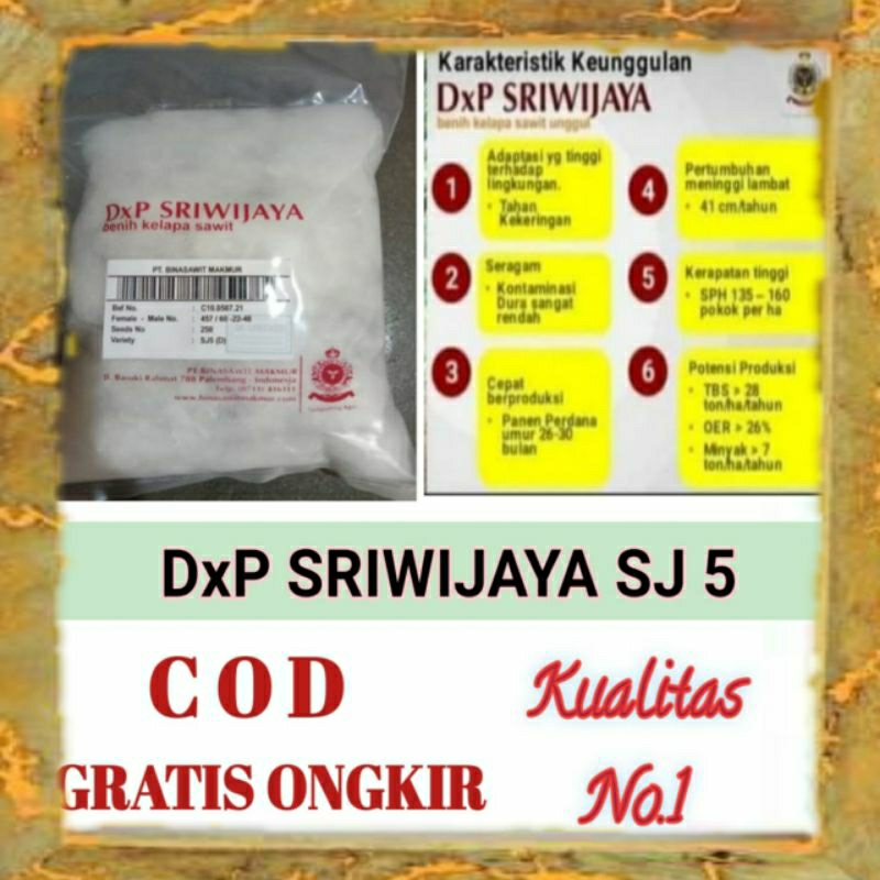 DXP SRIWIJAYA SJ5