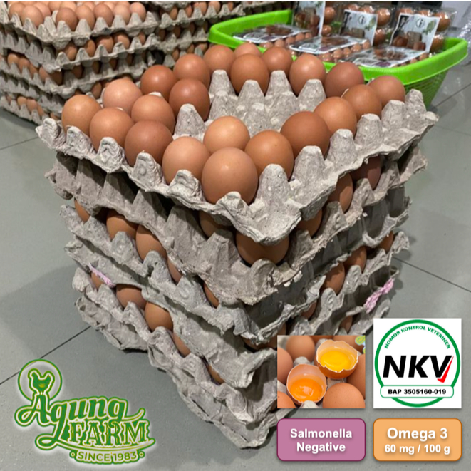

Telur Ayam Negri Negeri per 10 kg Curah Segar dari Kandang NKV