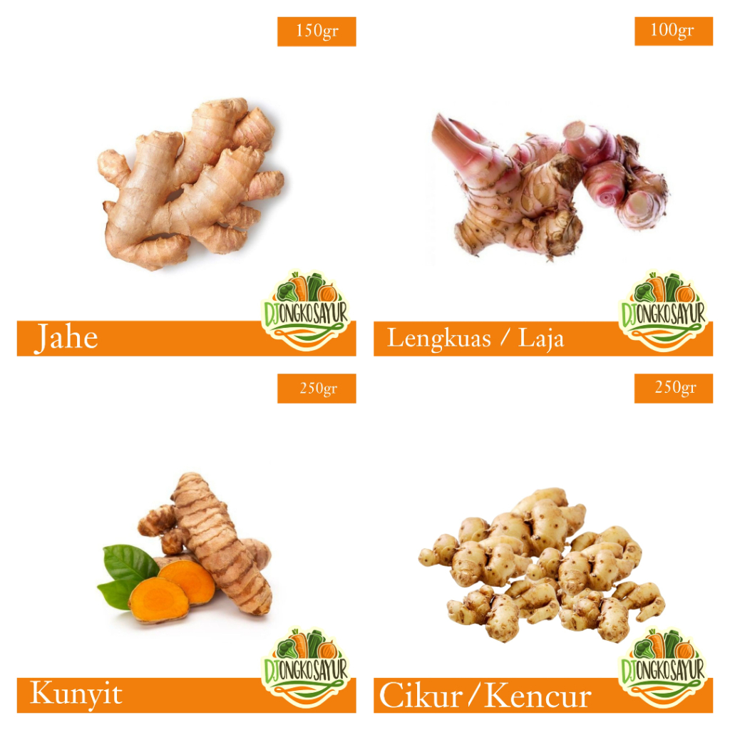 

Jahe / Lengkuas (Laja) / Kunyit (Koneng) / Kencur (Cikur)