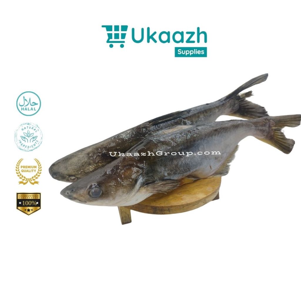 

Ukaazh Ikan Dori Patin 0.9 Kg 900 Gram Frozen Fresh Segar