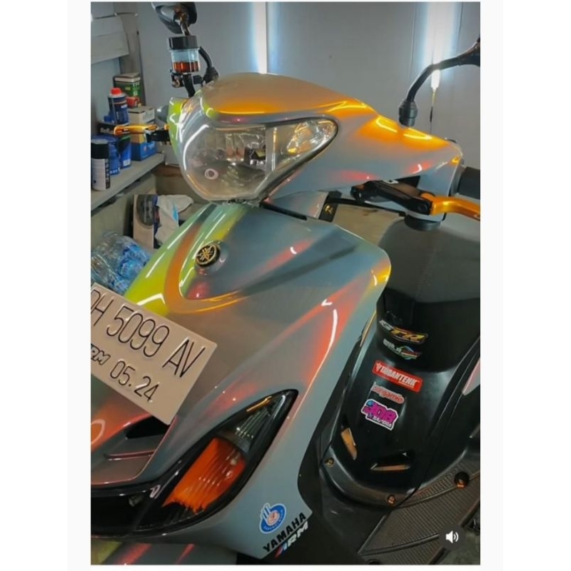 CAT BUNGLON HIPERSIVE DASAR ABU ABU