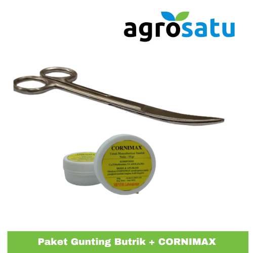 Paket Gunting Butik Butrik + Cornimax Obat Penyubur Tanduk Domba Garut