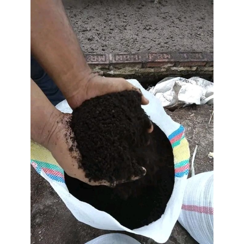 pupuk kandang sapi / kascing murni 100% subur