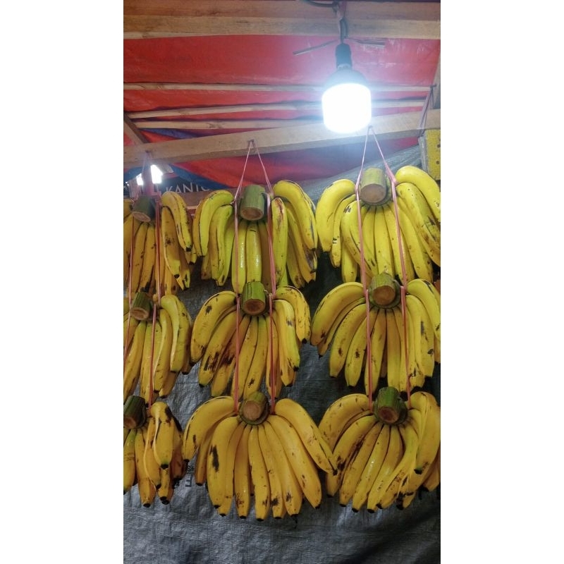 

Pisang Ambon A