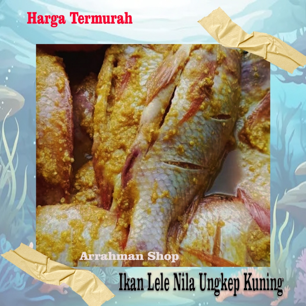 

nila bumbu kuning 500 gram - ikan nila ungkep bumbu kuning - nila ungkep fresh siap goreng