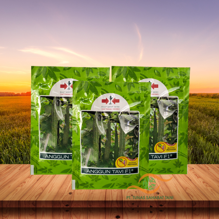 ANGGUN TAVI 10GR Benih Oyong - Gambas - Benih Murah - Panah Merah