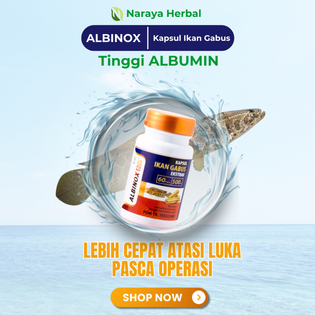 Kapsul Ikan GABUS ALBINOX Ekstrak Kutuk Original 60 Kapsul
