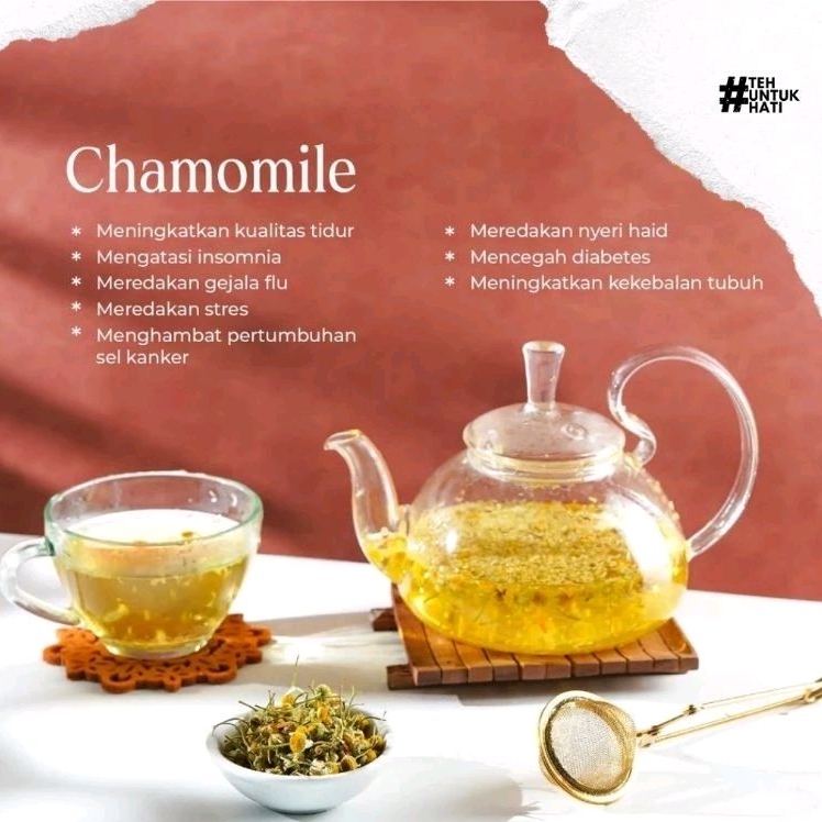 

Chamomile Tea | Teh Bunga Chamomile Shanaya Tea