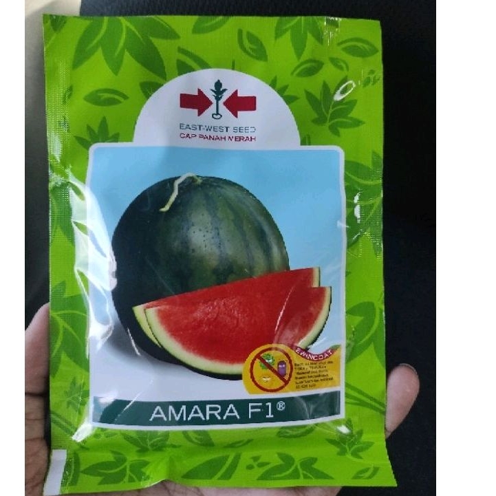 BENIH SEMANGKA AMARA F1