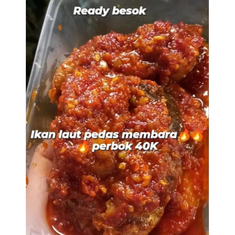 

ikanlautpedas