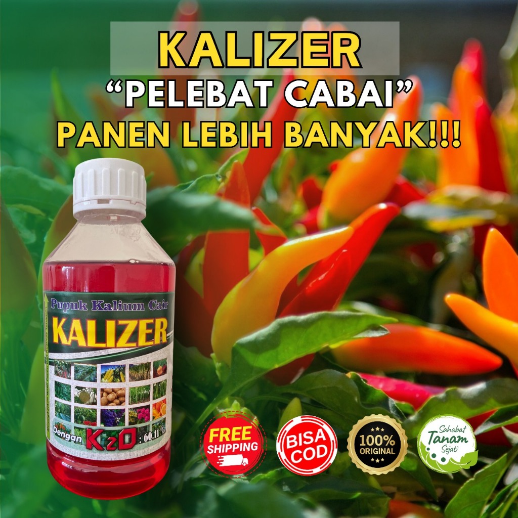Kalizer KCL Cair Memperlebat Buah Cabai, Anti Rontok Dan Patek, Memperbaiki Hasil panen Kemasan 1Lit
