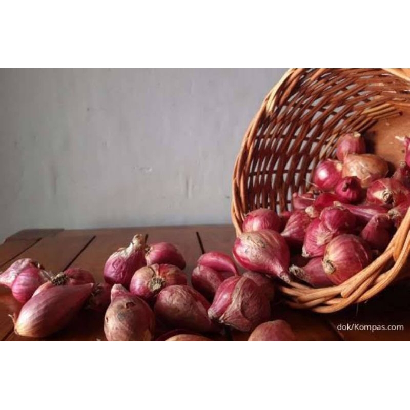 

Bawang Merah SUPER DORR