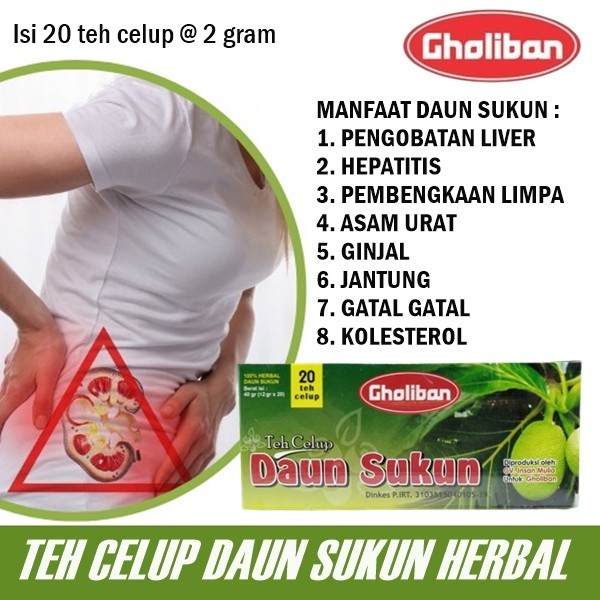 

teh celup daun sukun gholiban original obat penyakit liver hepatitis ampuh 100% Original ASLI