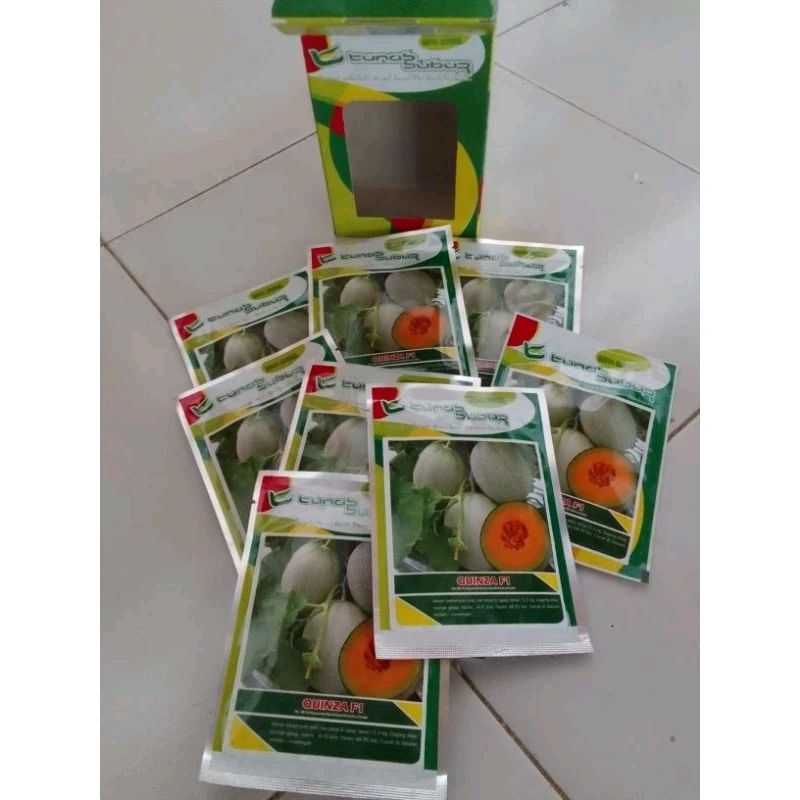 Benih melon Quinza F1