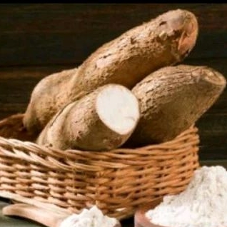 

SINGKONG POHON 500 GRAM