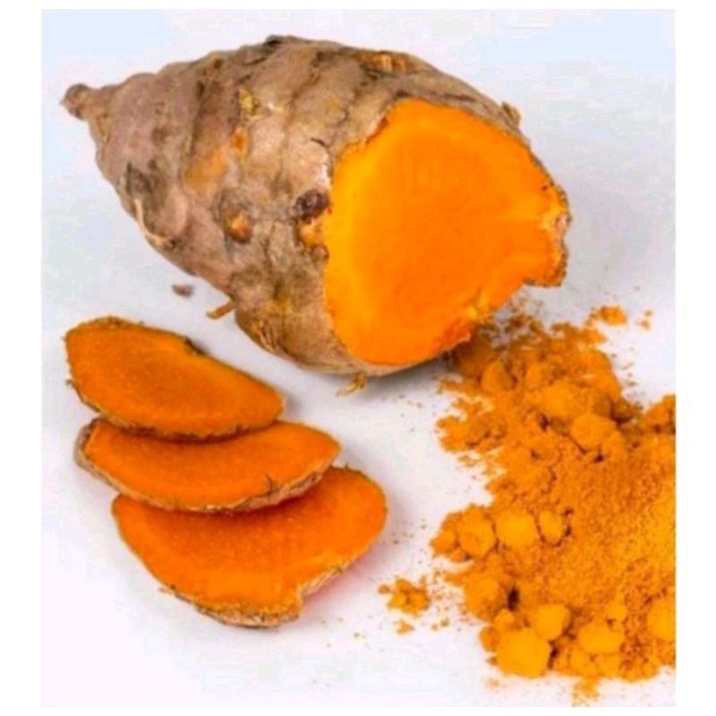 

biang bonggol empu kunyit kuning