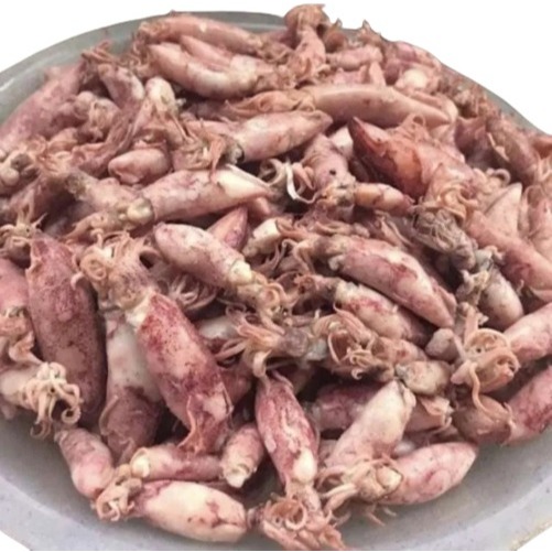 

Cumi Balita (500 gr)