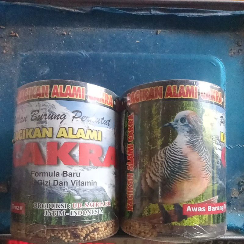 CAKRA PERKUTUT //makanan burung perkutut