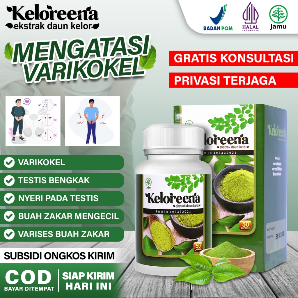 Obat Buah Zakar Sakit Obat Herbal Varikokel  Obat Buah Zakar Bengkak  Keloreena Kapsul Herbal Ekstra
