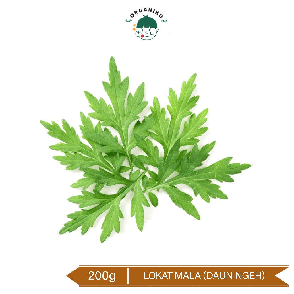 

Lokat Mala (Daun Ngeh) Organik 200g