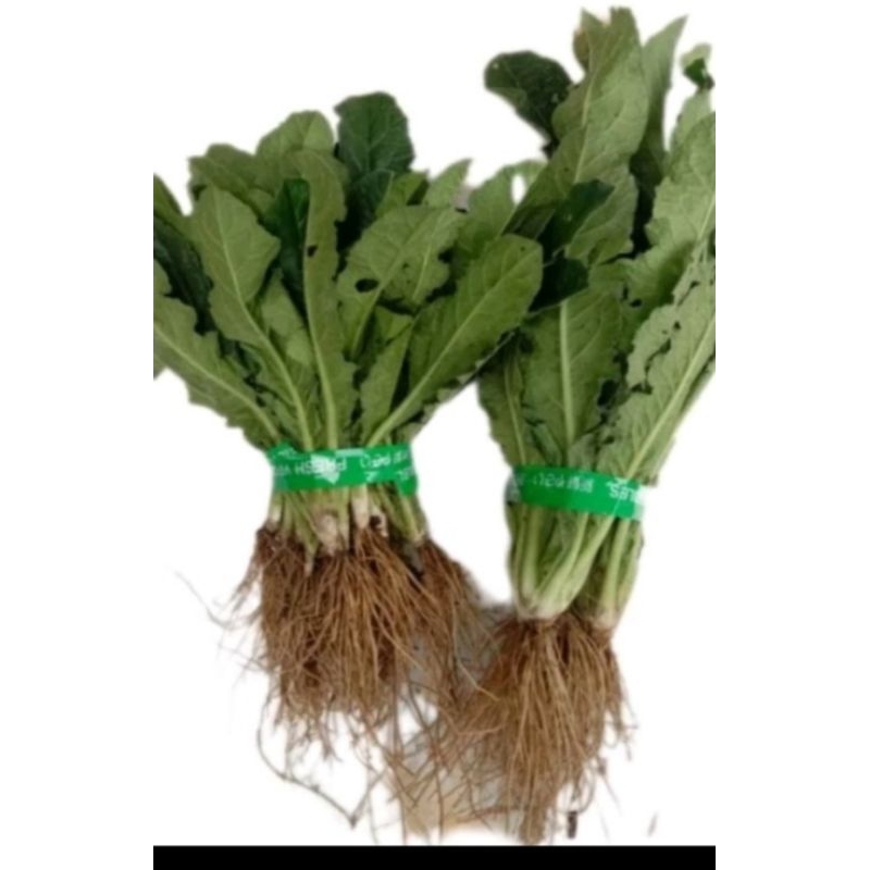 

daun tapak liman fresessh 500g