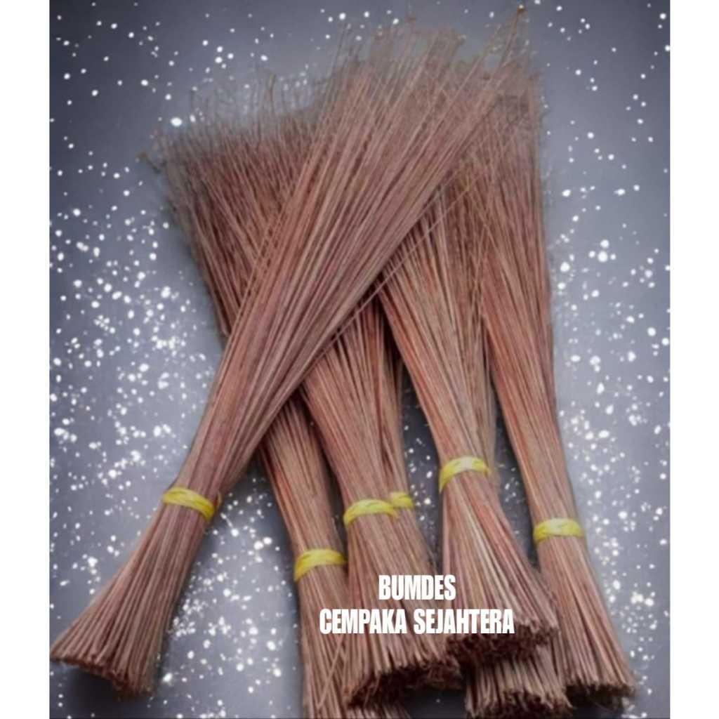 SAPU LIDI TAMAN TEBAL SAPU HALAMAN