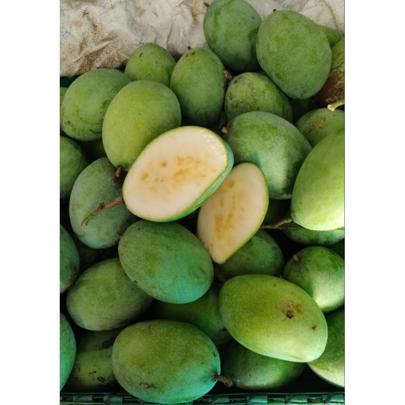 

Mangga manalagi