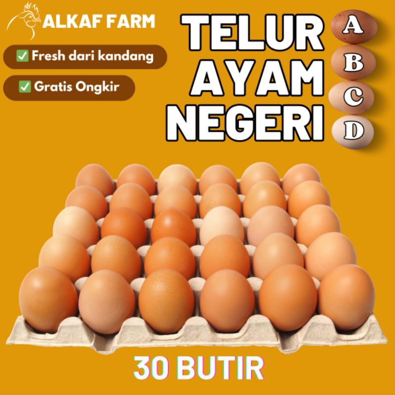 

Telur Ayam Fresh (30 butir)