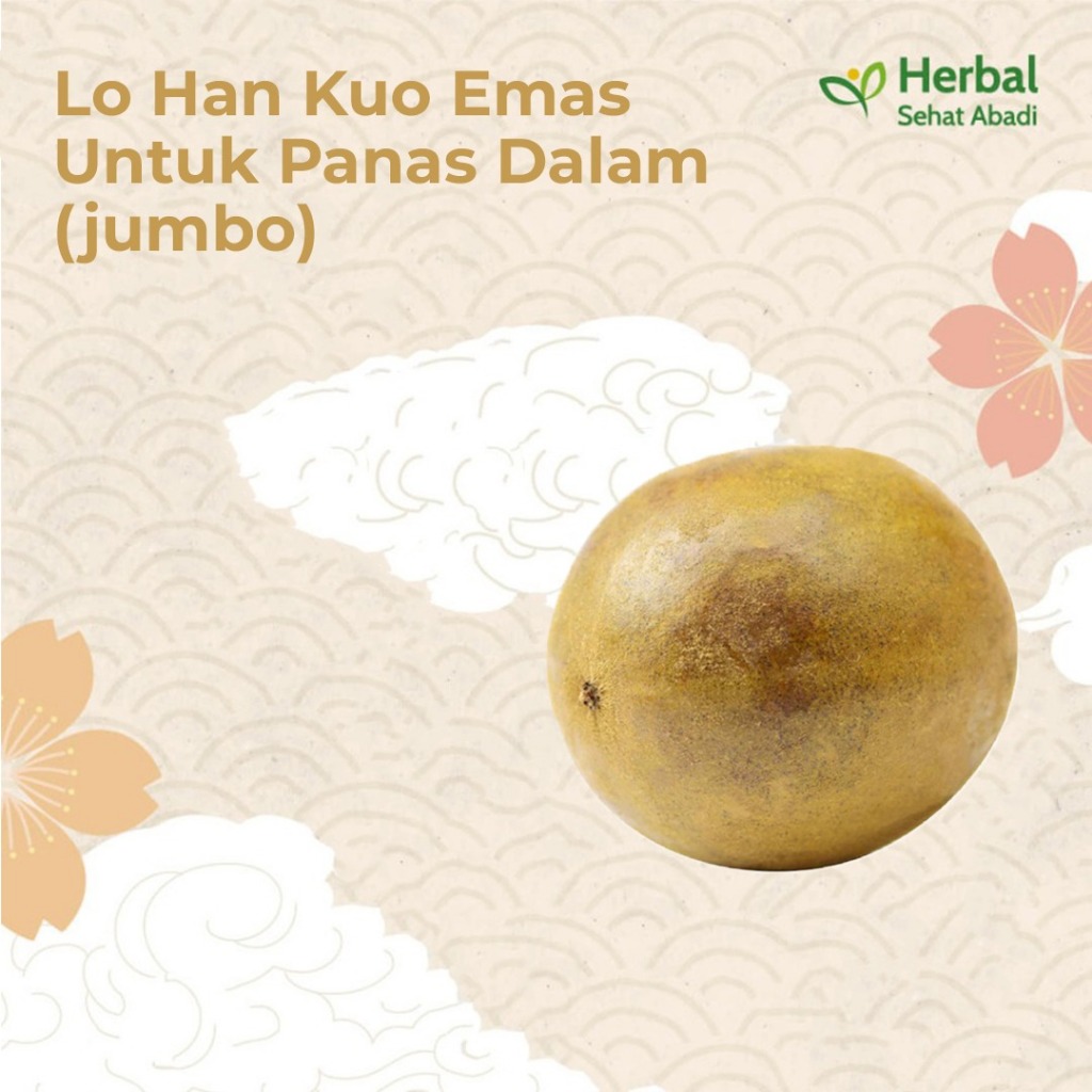 

Lo Han Kuo Emas untuk Panas Dalam ( Ukuran Jumbo )