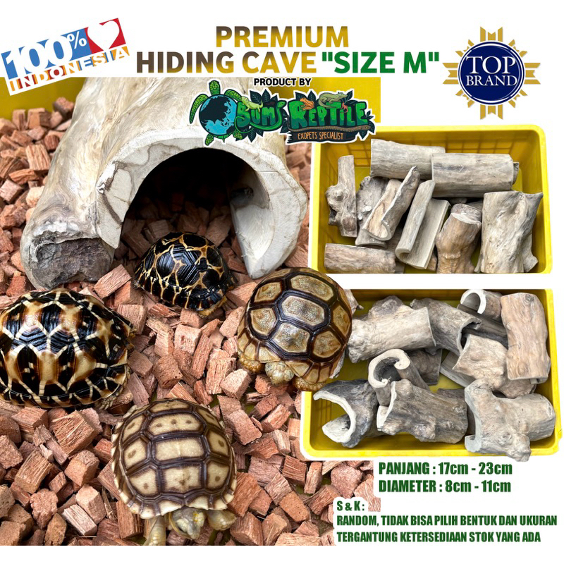 HIDING CAVE TORTO “SIZE M” DARI KAYU KOPI BUKAN RESIN