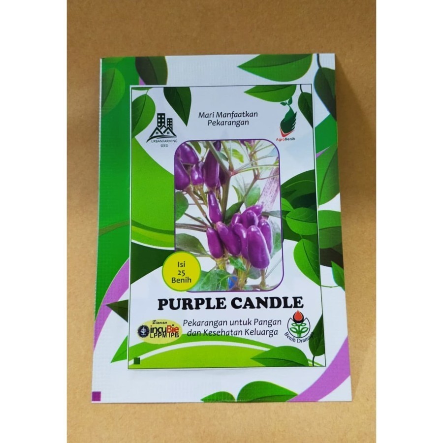 Benih Bibit Cabai Cabai Unik PURPLE CANDLE LIGHT