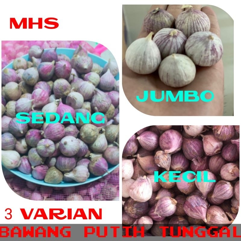 

Bawang putih tunggal / bawang lanang putih tunggal original 250gr