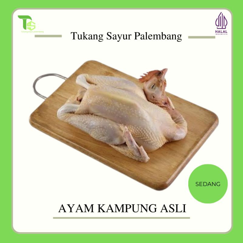 Ayam Kampung - Ayam kampung Asli - Ayam kampung Palembang - Ayam kampung Potong dan Fresh 0.9-1.0Kg