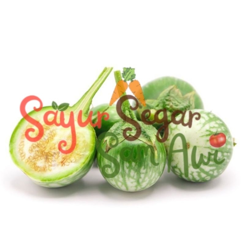 

TERONG BULAT SEGAR 500g, 1000g | INSTANT MALANG | SAYUR SEGAR | SAYUR SEGAR SAM AWI