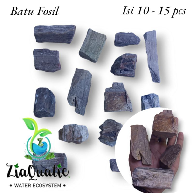 Batu Terrarium Aquascape Paludarium - Batu Posil Size Kecil