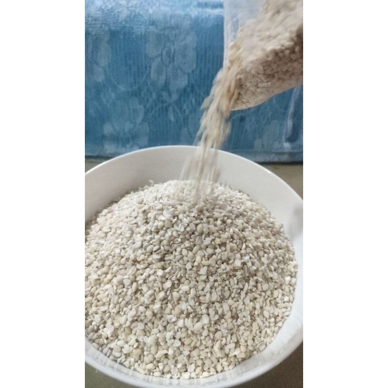 

jimmi / jali jali kalimantan