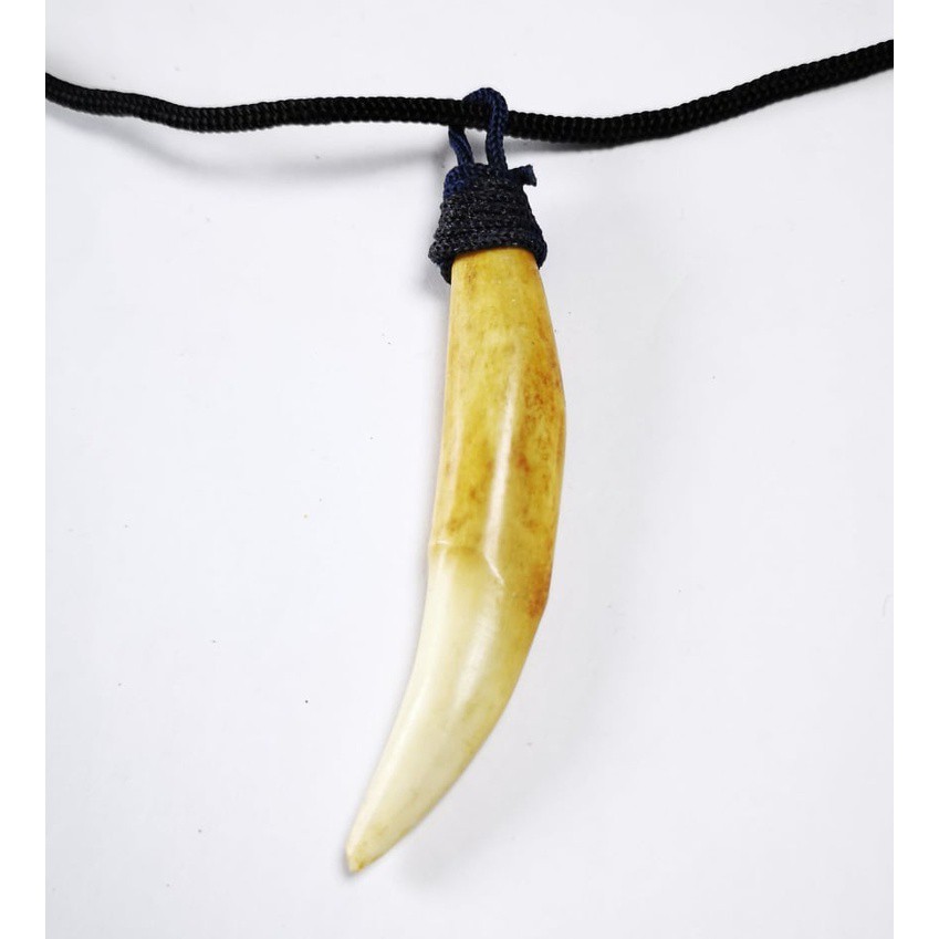 LIONTIN BARANG ANTIK LANGKA TARING MACAN