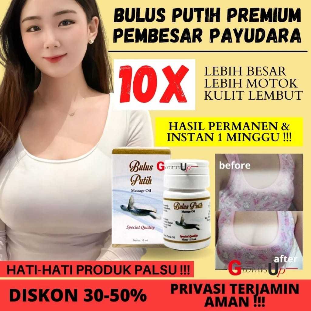 MINYAK BULUS PUTIH PEMBESAR PAYUDARA PENGENCANG PAYUDARA PENGHILANG BEKAS LUKA MINYAK BULUS ORIGINAL