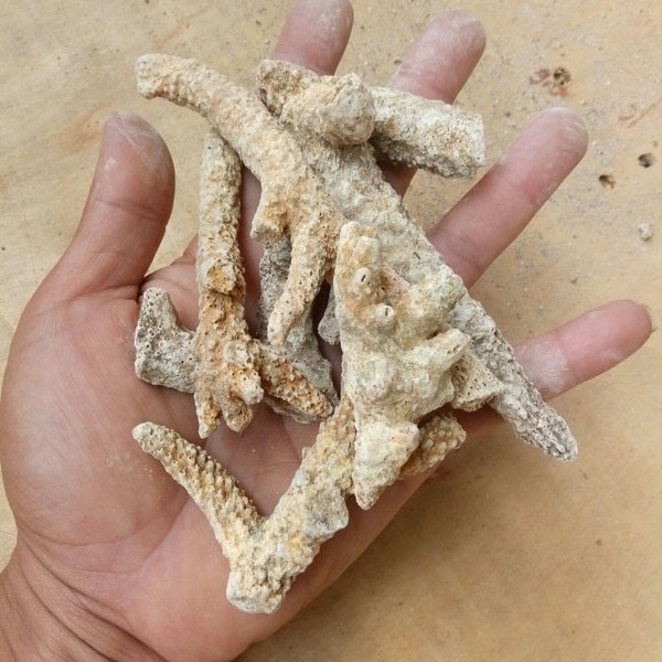 MEDIA FILTER KERANG JAHE - PENETRALISIR PH AIR