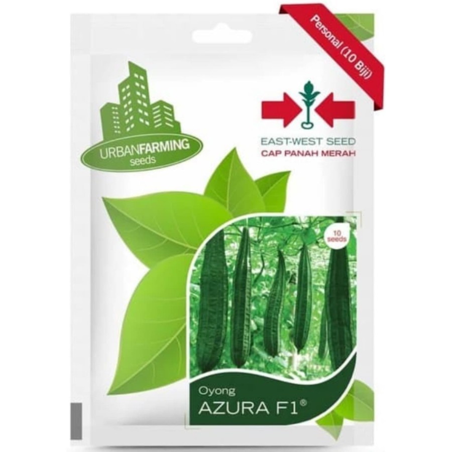 Benih Bibit Oyong Azura F1