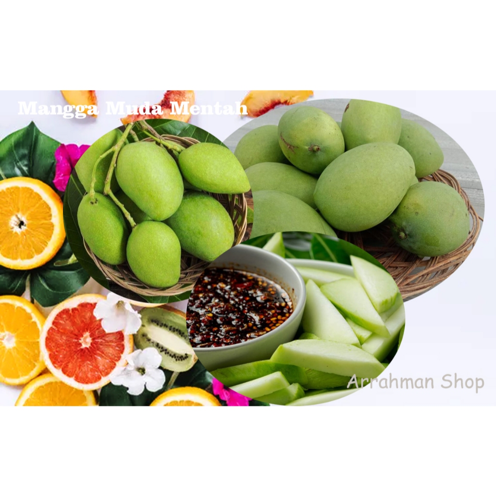 

Mangga muda - mangga muda untuk rujak mangga muda mentah