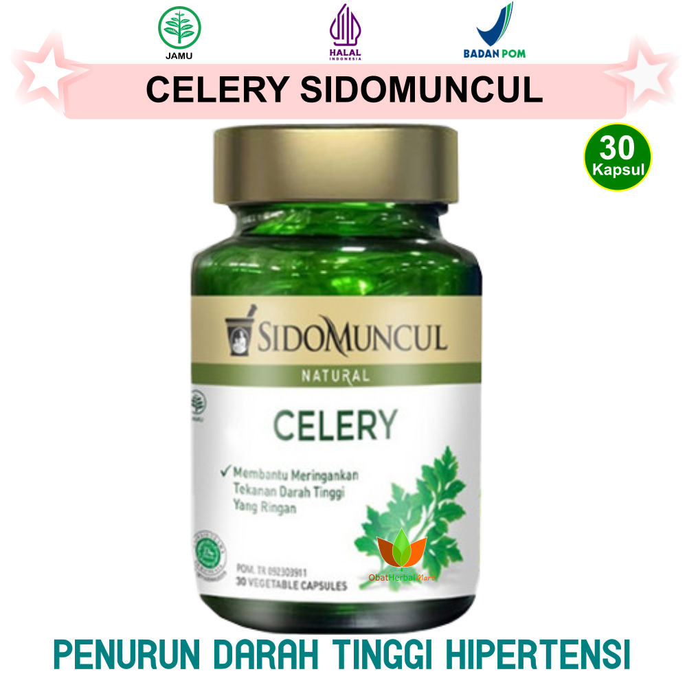 30 KAPSUL CELERY SIDOMUNCUL CELLERY SELERI DAUN SELEDRI OBAT HERBAL PENURUN TENSI HIPERTENSI TEKANAN