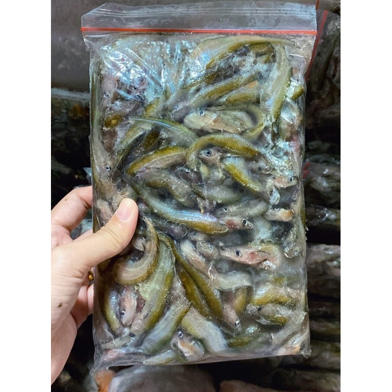 

Ikan Lais Frozen 500 Gram