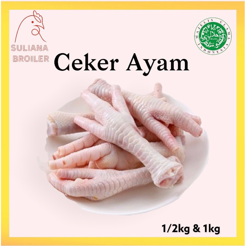 

Ceker Ayam Besar Fresh & Beku