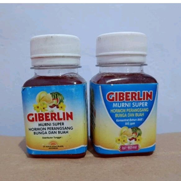 Giberelin 500ppm 60ml