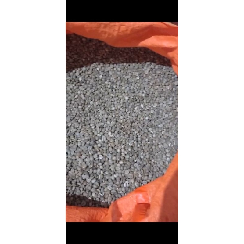 

greenbeanrobusta