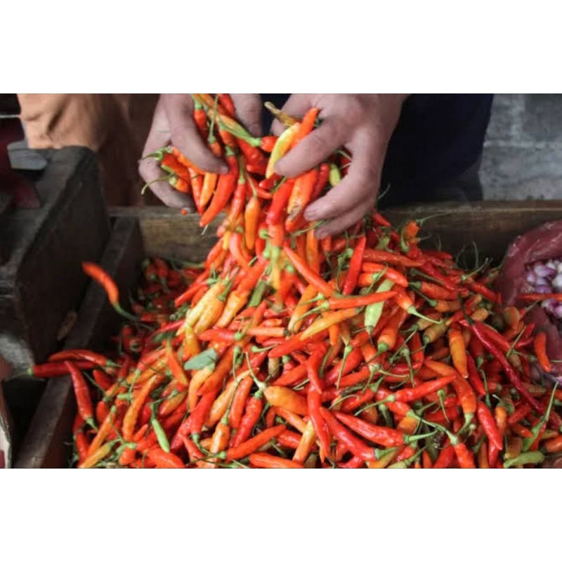 

cabe rawit merah segar 1kg