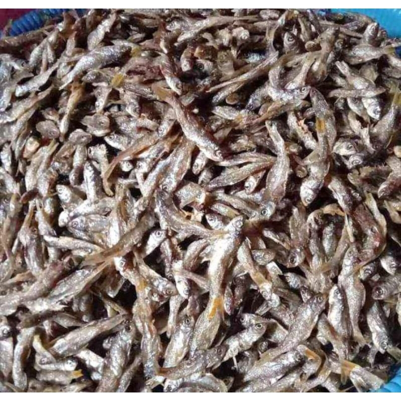 

ikan bilih danau singkarak